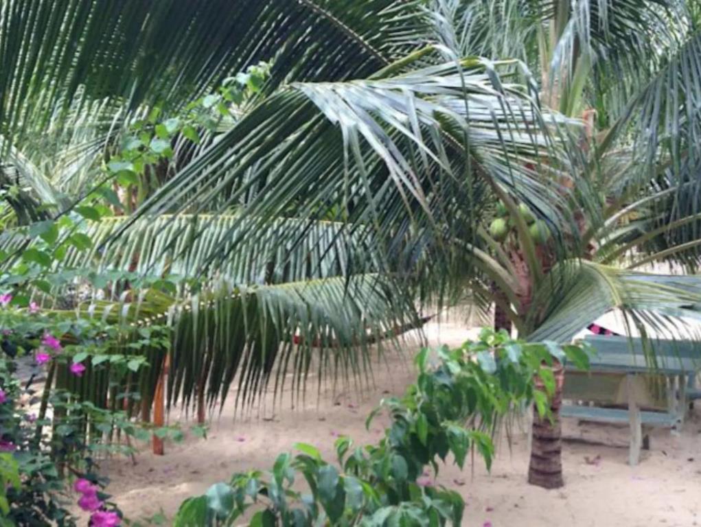 Cocosand Hotel 3*