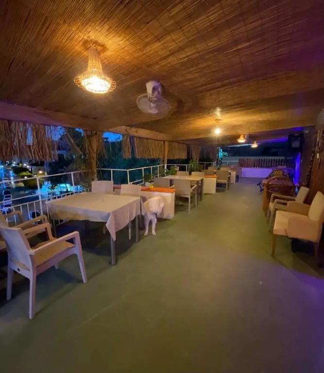 Gunayd?n Otel Alanya 0*