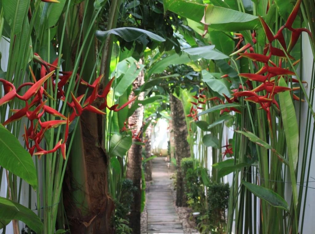 Coconut Grove Boutique Hotel 3*