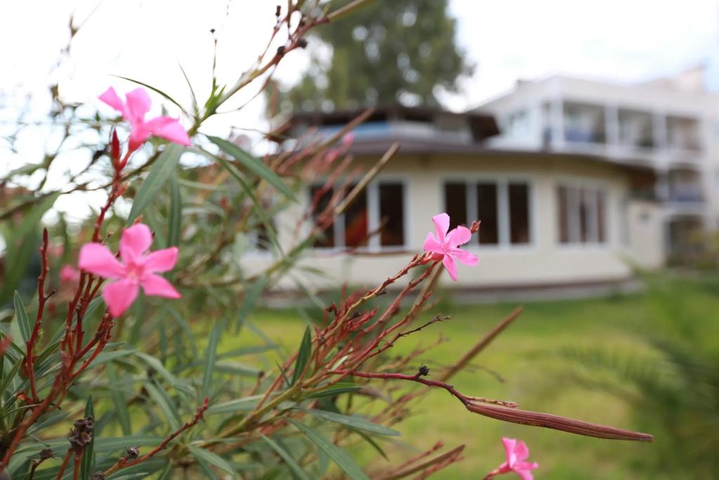 Anakopiya Club Hotel 0*