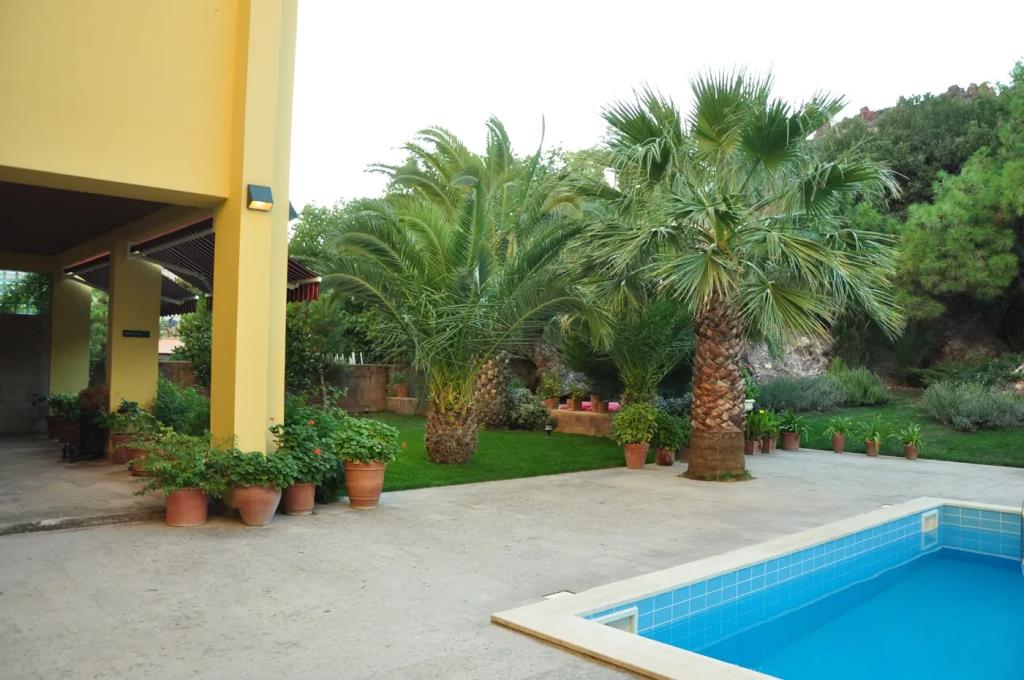 Palm Court Suites 0*