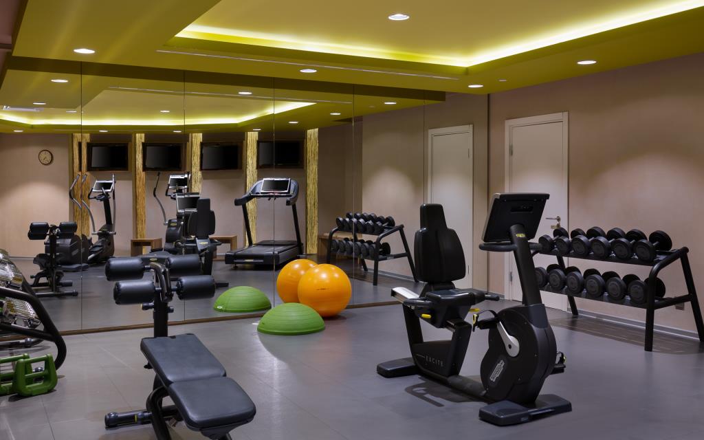 ibis Moscow Centre Bakhrushina Hotel 3*