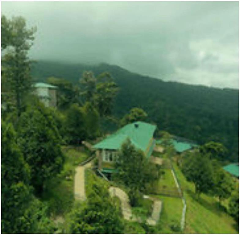 Spicetree Munnar 4*