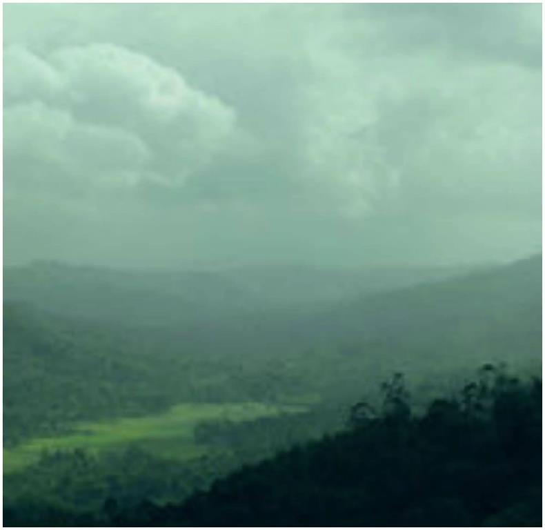 Spicetree Munnar 4*
