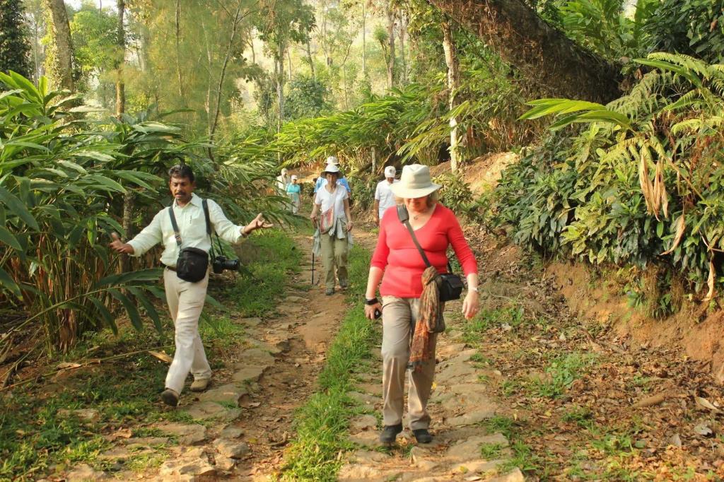 Spicetree Munnar 4*