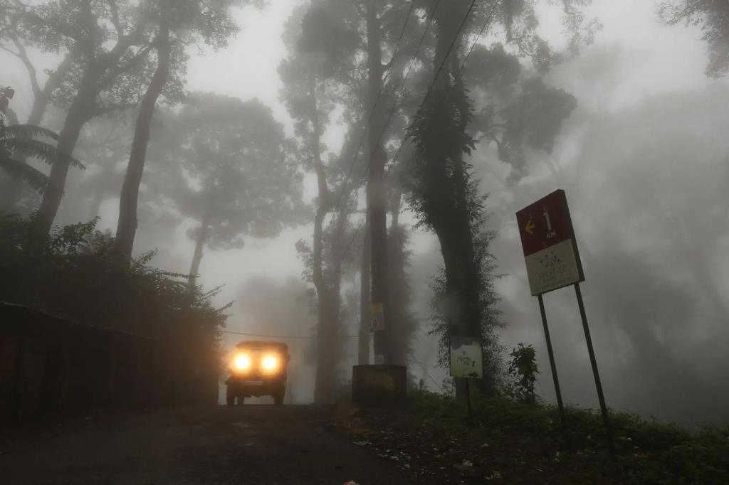 Spicetree Munnar 4*