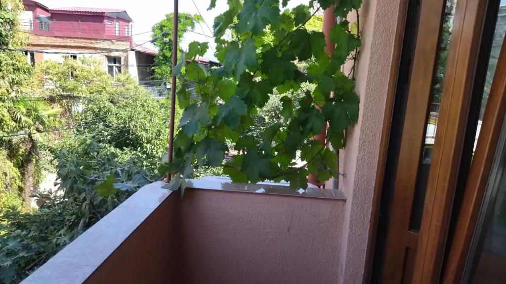 ApartHotel Otin 4*
