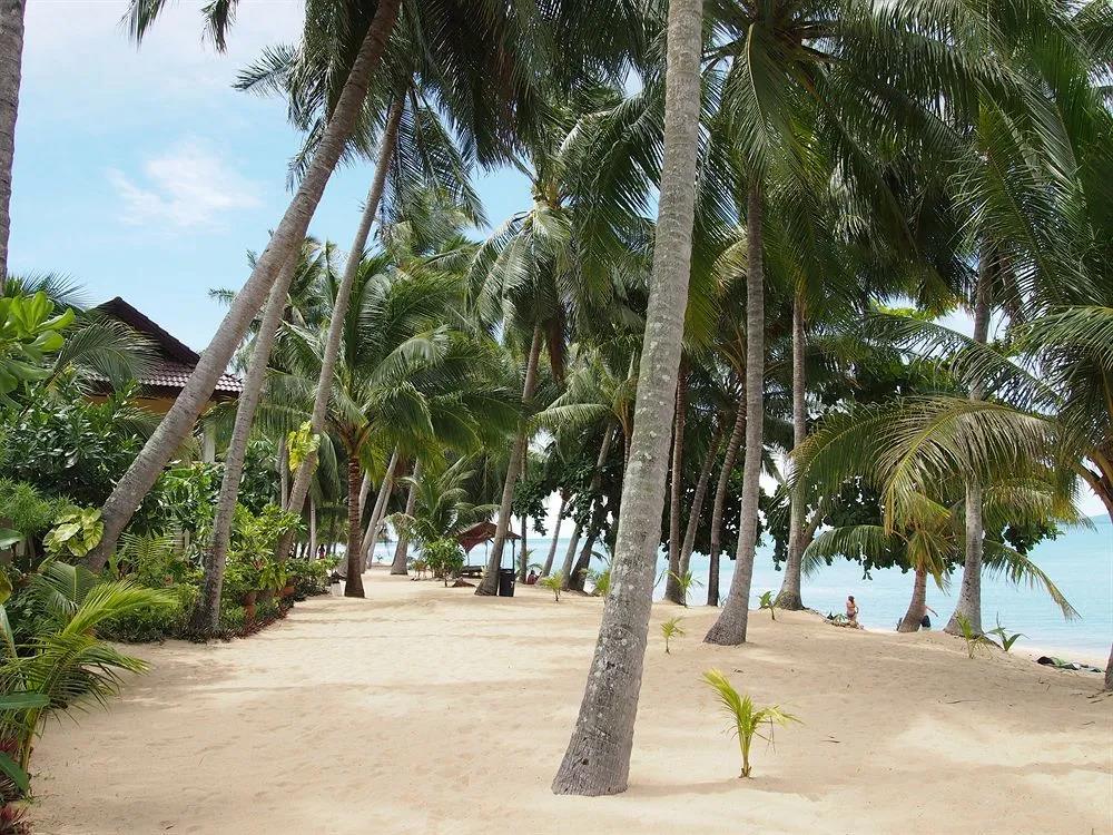 New Sunrise Village Maenam Beach 3*