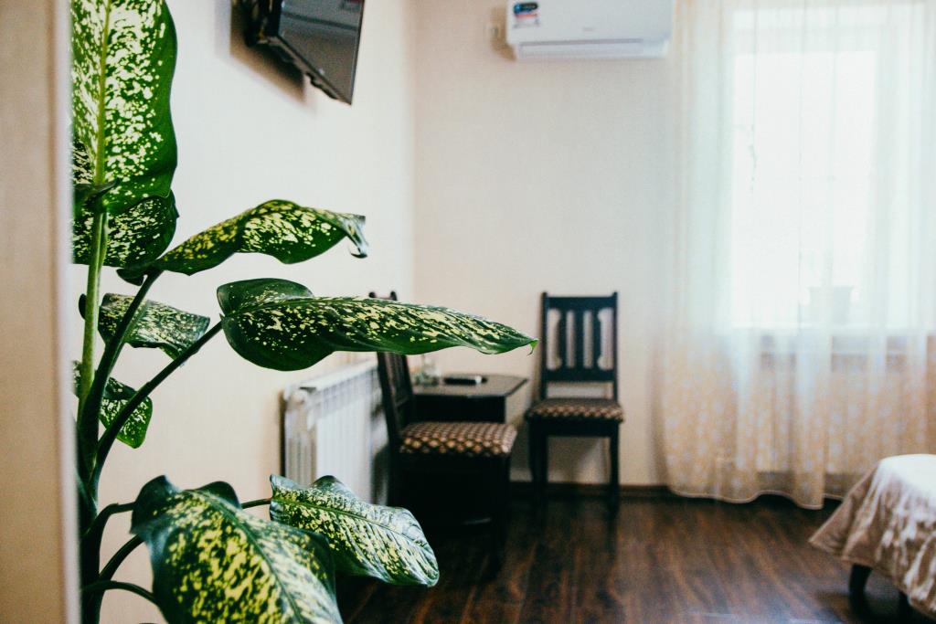 Rio Mini-Hotel 0*