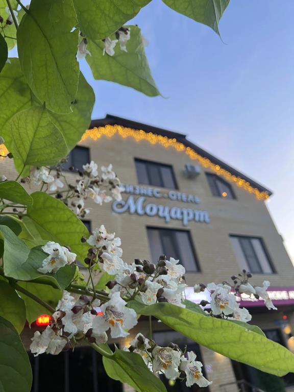 Mozart Hotel 3*