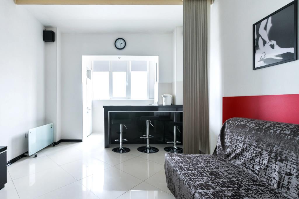 RentalSPb  Apartments 0*