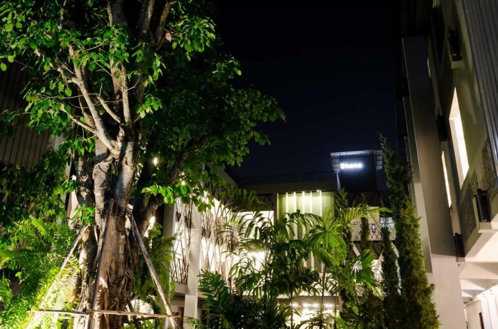 Shane Hotel Chiangmai 3*
