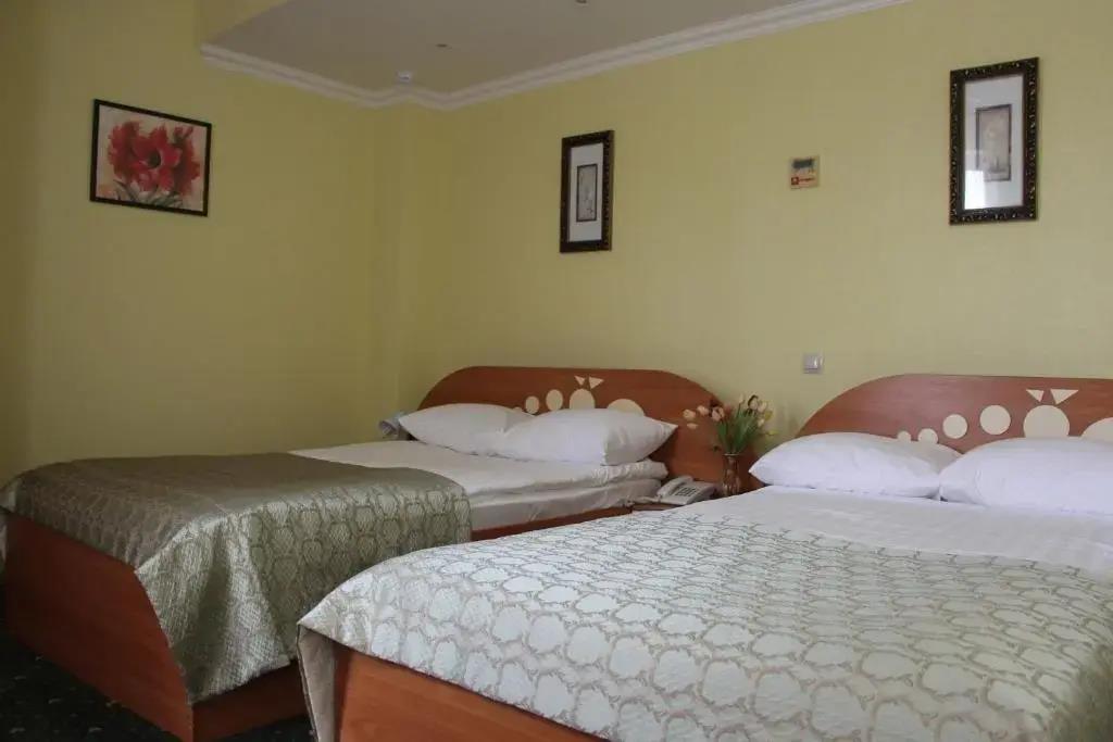 De Muazel Spa-Hotel 3*