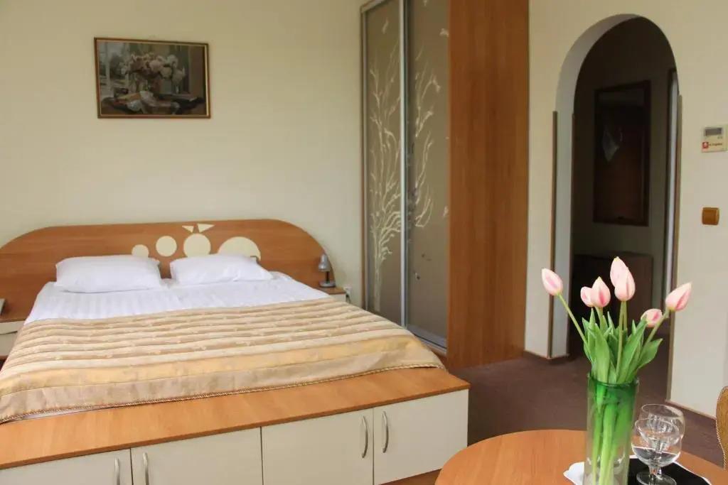 De Muazel Spa-Hotel 3*