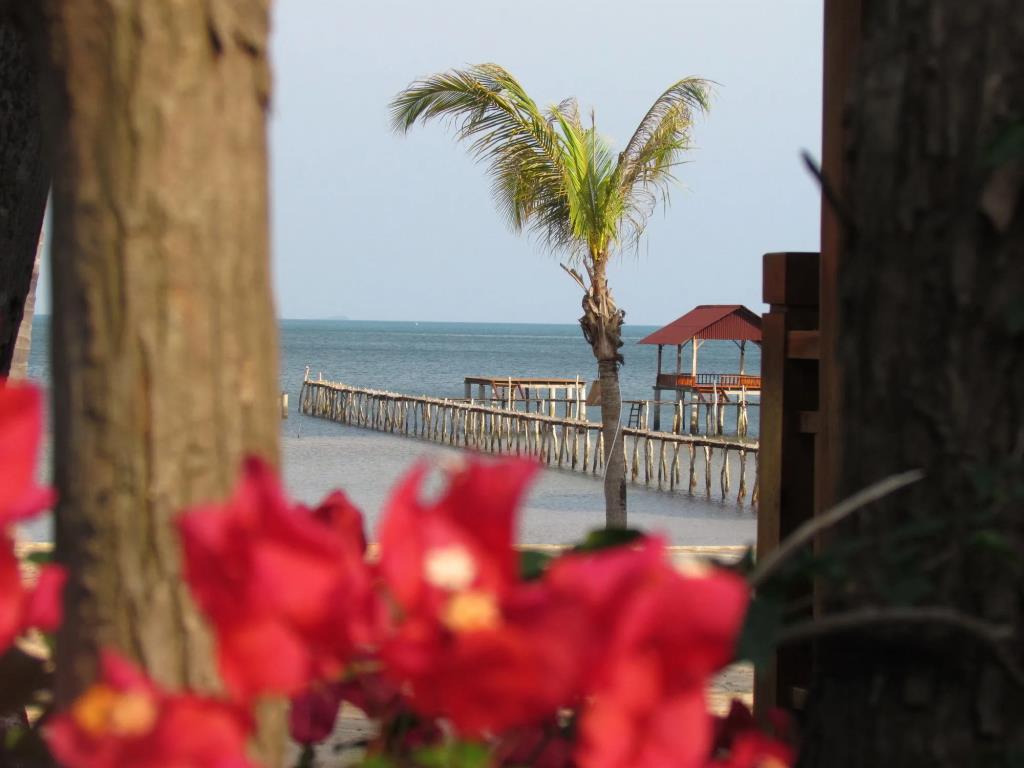 Mango Beach Resort 3*