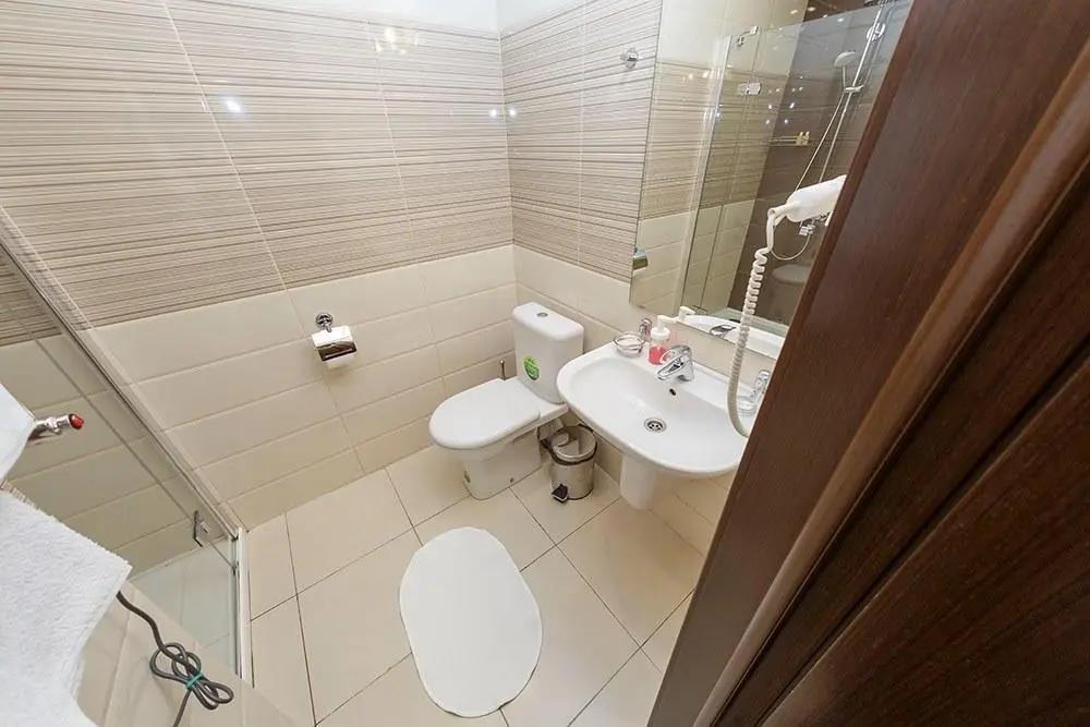 Sarov Hotel 3*