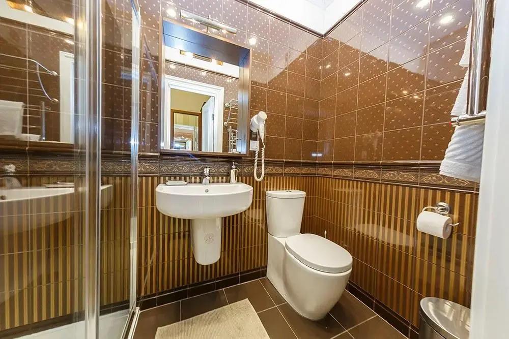Sarov Hotel 3*