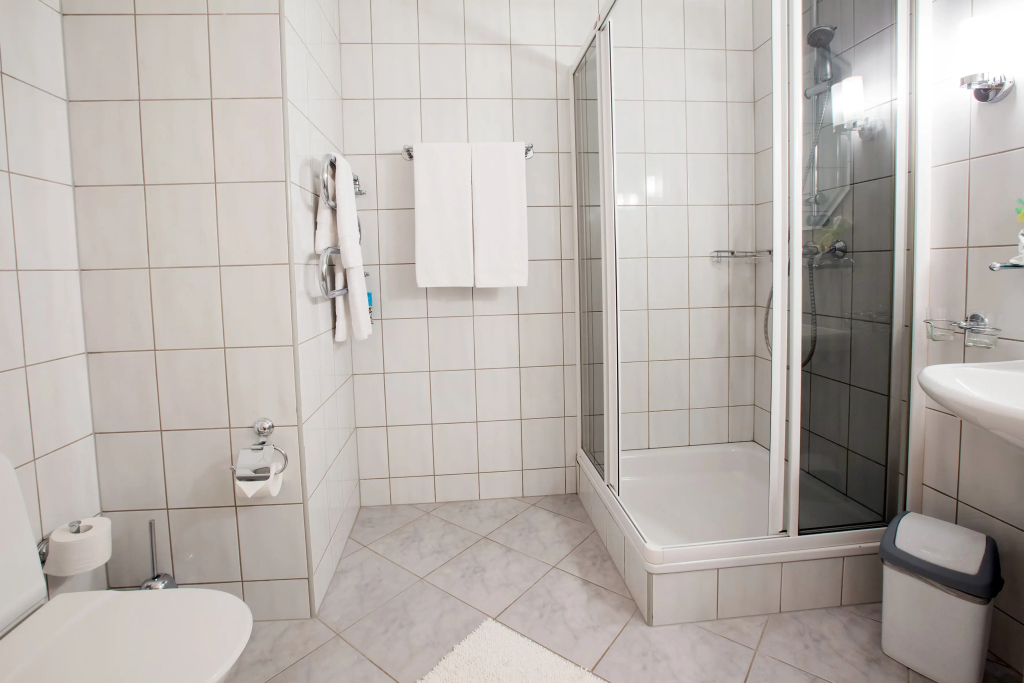 Shvejtsarskij Dom Hotel 0*