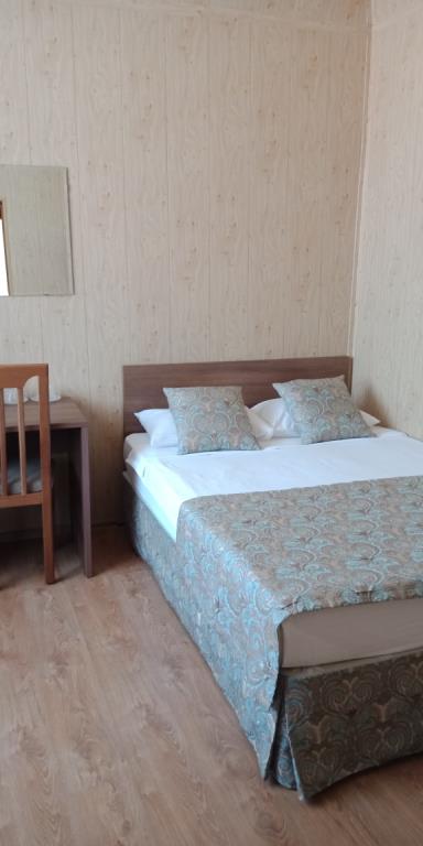 Tsentral'naya Hotel 3*