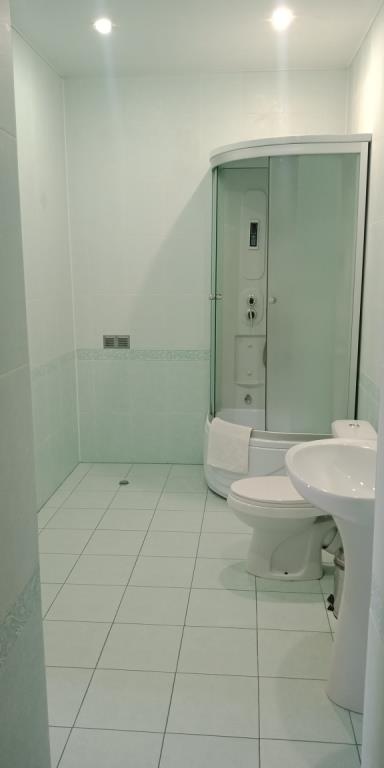 Tsentral'naya Hotel 3*