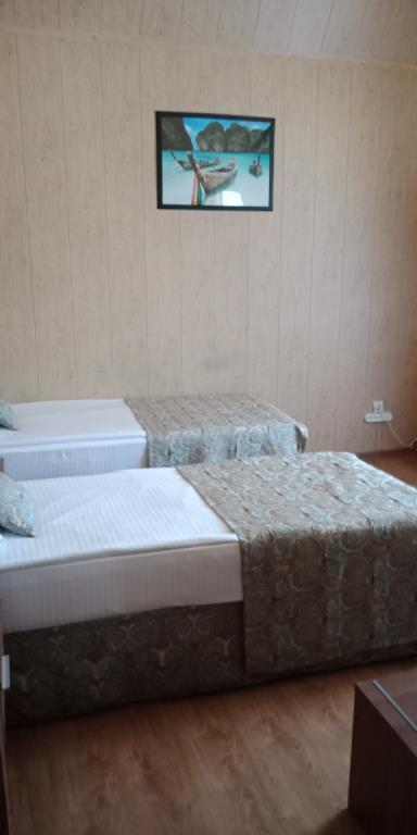Tsentral'naya Hotel 3*