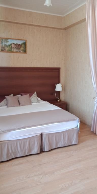 Tsentral'naya Hotel 3*