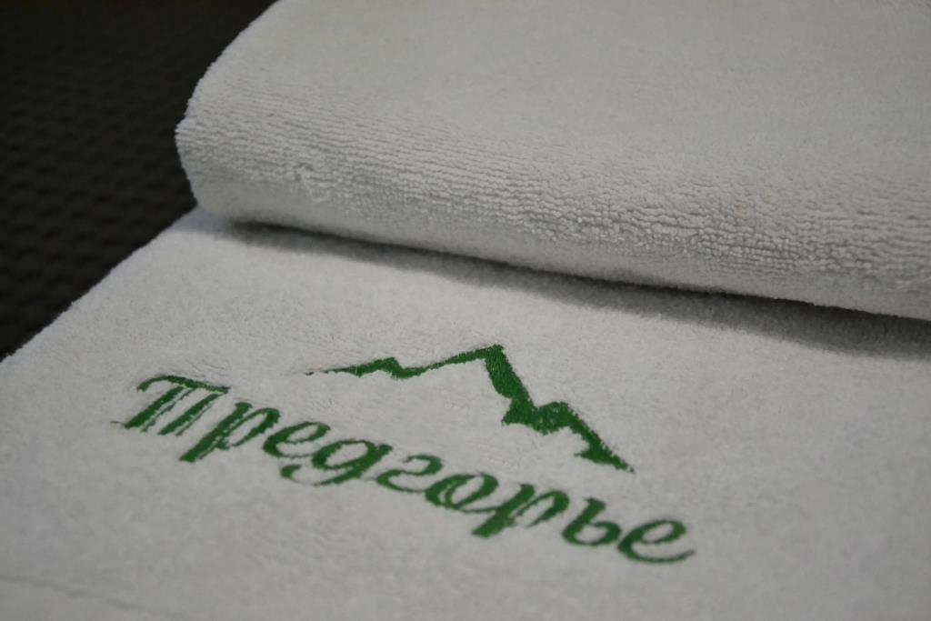 Predgor'e Hotel 3*
