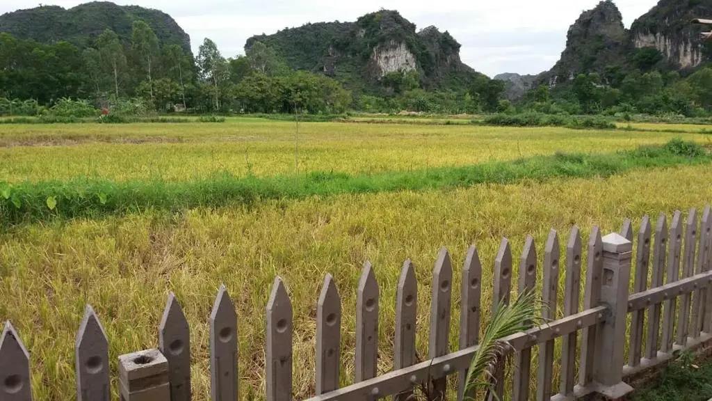 Tam Coc Green Garden Bungalow 3*