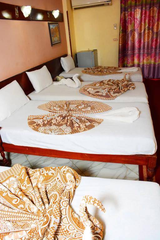 hotel shady 3*