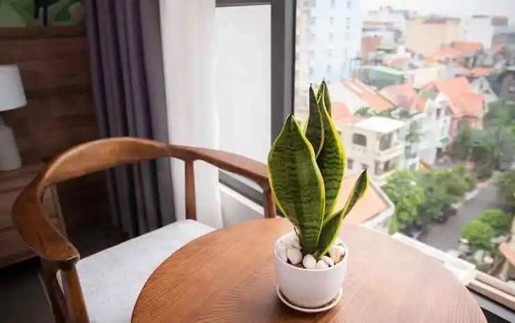 Thanh Long Hotel 3*