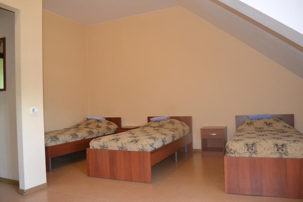 U Petrovicha Mini-Hotel 0*