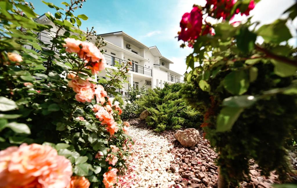 Belaya Iva Hotel 0*