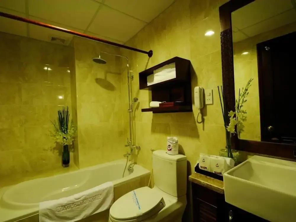 Mayflower Saigon Hotel 3*
