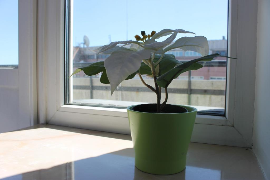 V tsentre Mini-Hotel 0*