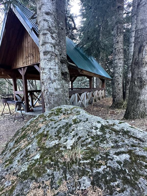 Alibek Hotel 0*
