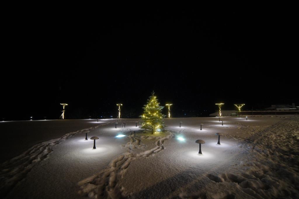 Mtserlebi Resort Hotel 5*