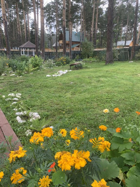 Podsnezhnik Mini-Hotel 0*