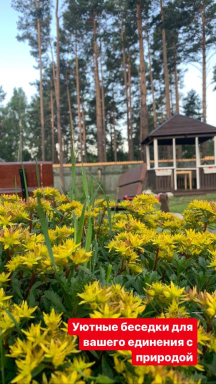 Podsnezhnik Mini-Hotel 0*