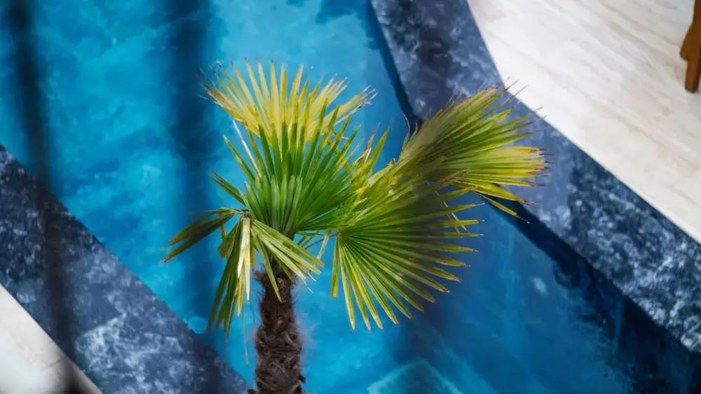 Avlu Alacati Butik Otel 0*