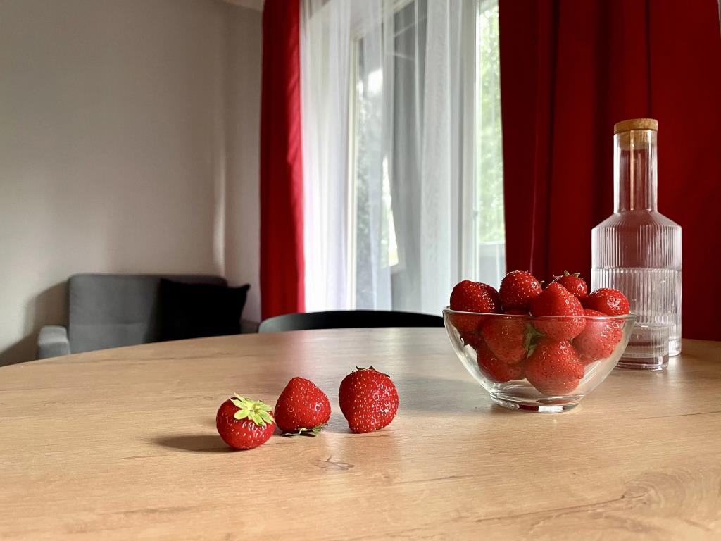 Apartmari Stilnaya Studiya V Tsentre Kaliningrada 0*
