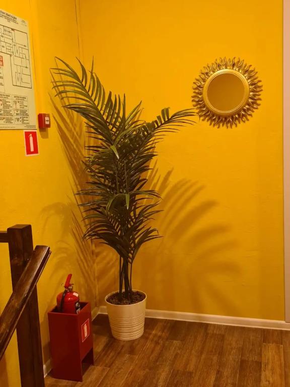 Mexiko Mini-Hotel 0*