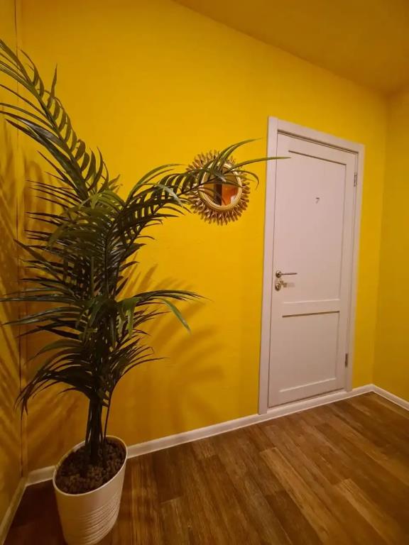Mexiko Mini-Hotel 0*