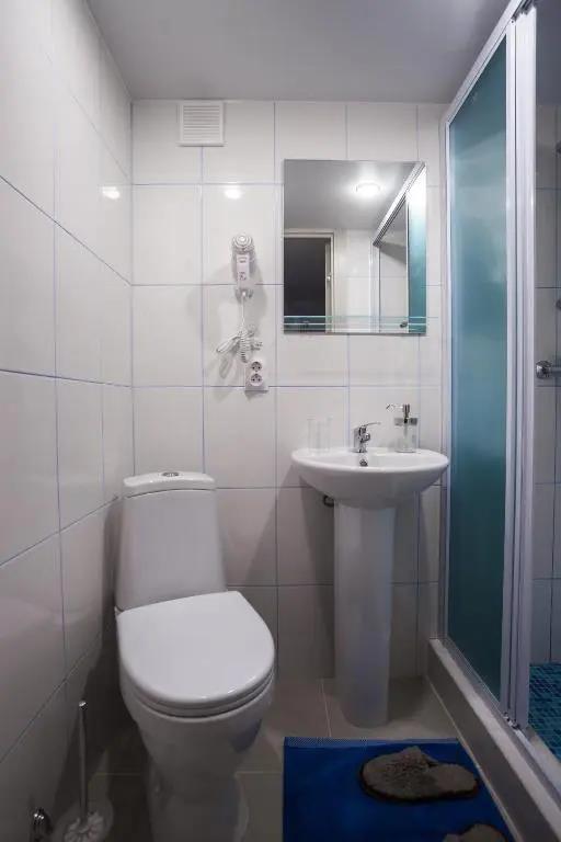 Gosti Lyubyat Na Zvenigorodskoy Flat 0*