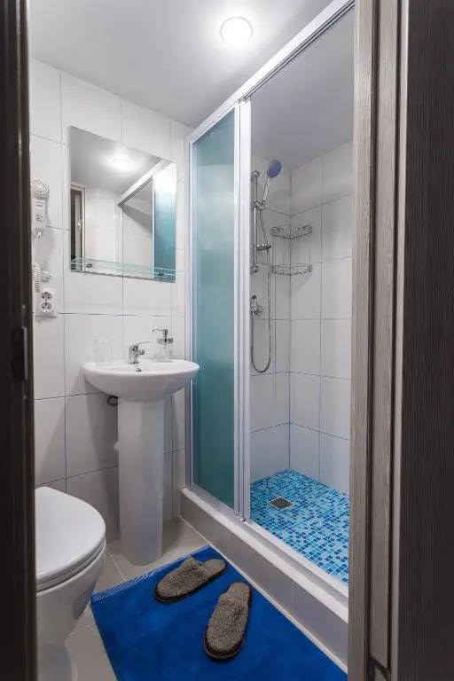 Gosti Lyubyat Na Zvenigorodskoy Flat 0*