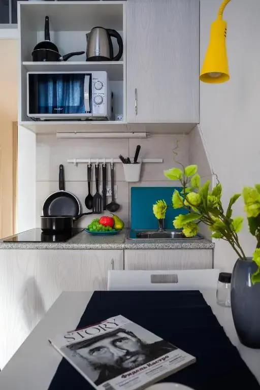 Gosti Lyubyat Na Zvenigorodskoy Flat 0*