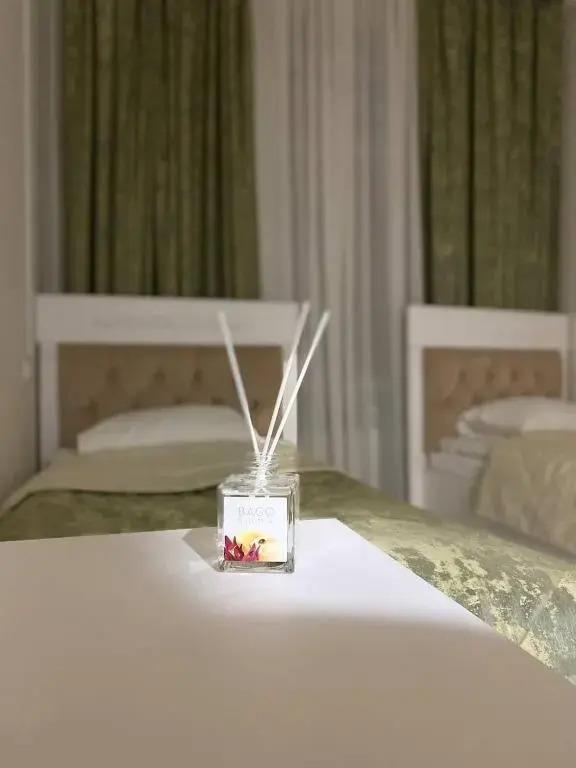 Studencheskaya Hotel 2*