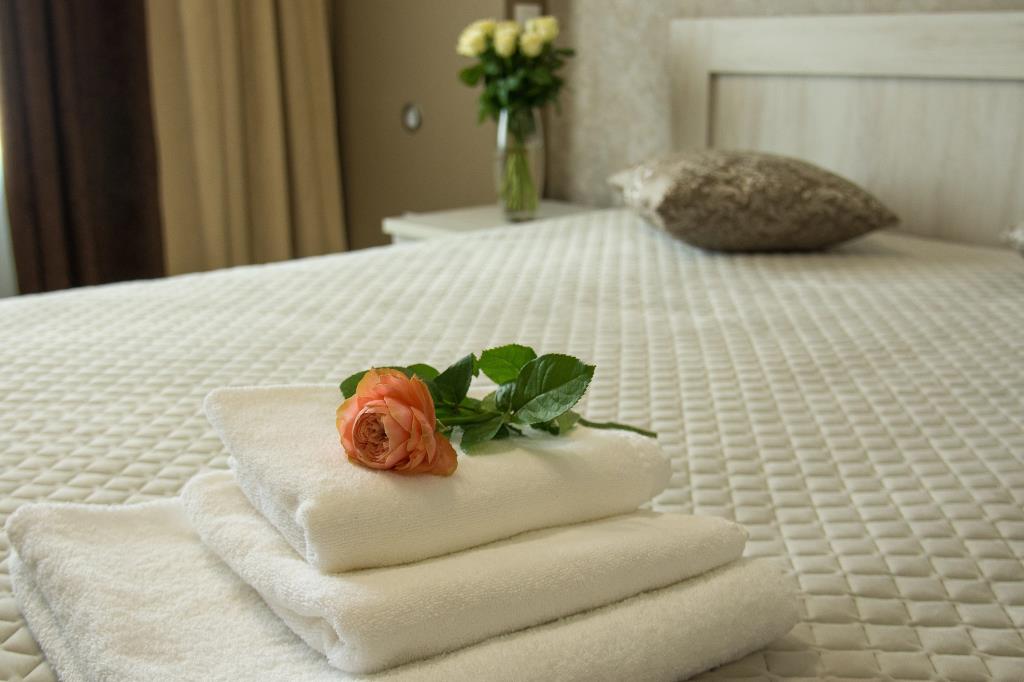 Domus Hotel 0*