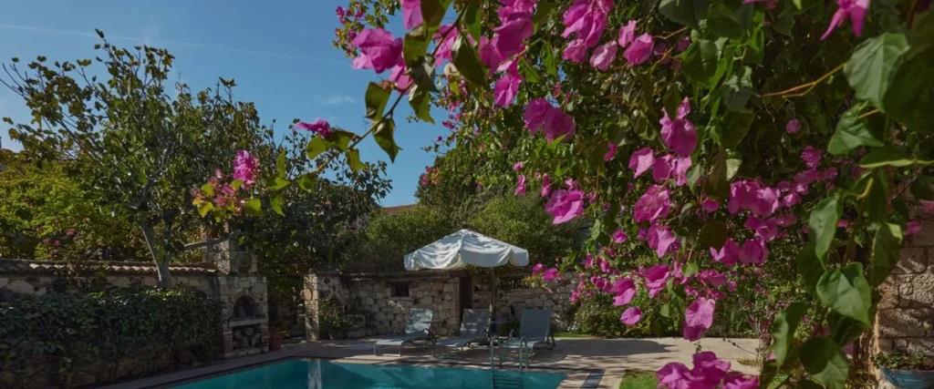 Zeytin Konak Otel 0*