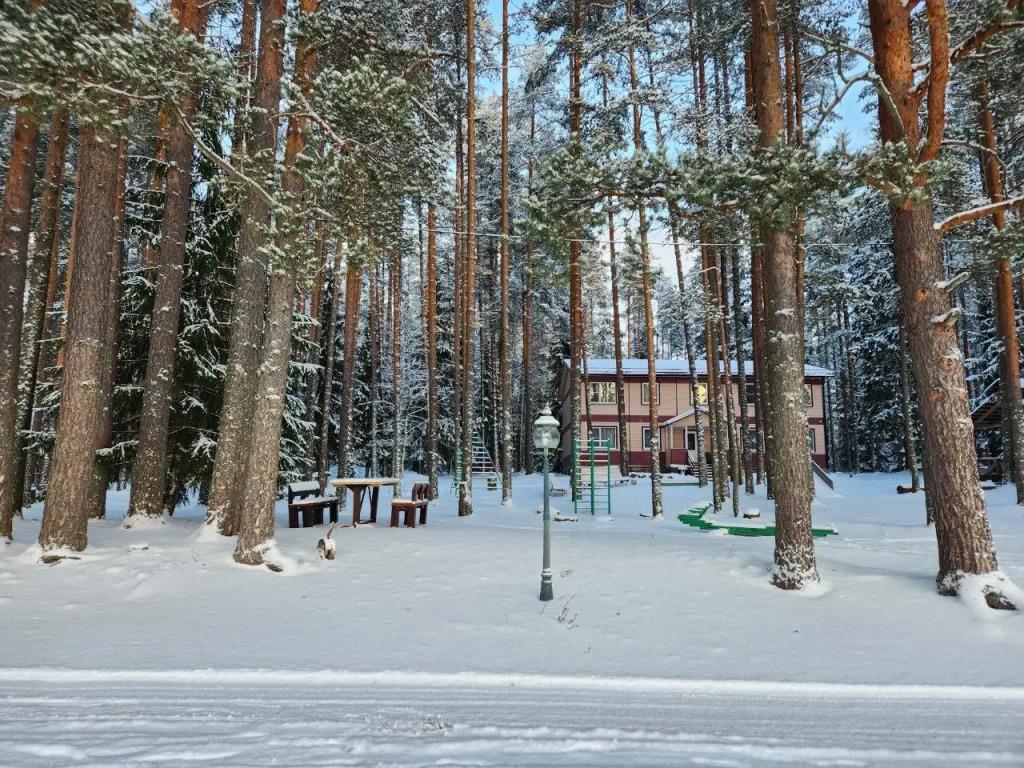 Baza otdykha Zavetnoye Hotel 0*