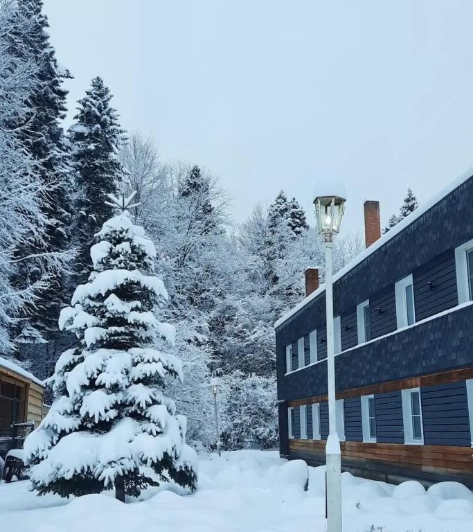 Pihtovyij Bor Park-hotel 0*